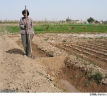 دولت مرکزی ایران زمین های کشاورزان عرب را به تاجیک ها وروسها بخشید!