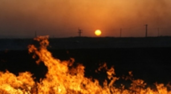 آلودگی شدید هوای احواز درپی سوزاندن مزارع نیشکر
