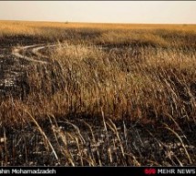 خالی از سکنه شدن دهها روستای هور العظیم در اثر خشک شدن اقلیم احواز