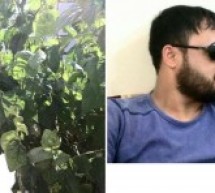 دستگیری چهار تن از شهروندان احوازی در حمیدیه