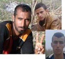 نه سال حبس براى سه فعال عرب و بازداشت شش تن دیگر در سوس