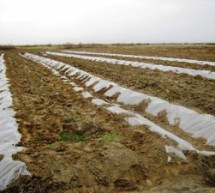 محاكم الإحتلال تصادق على مصادرة أراضي زراعية شاسعة في تستر