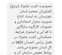 السلطات الإيرانية تمنع زراعة الأرز في الأحواز